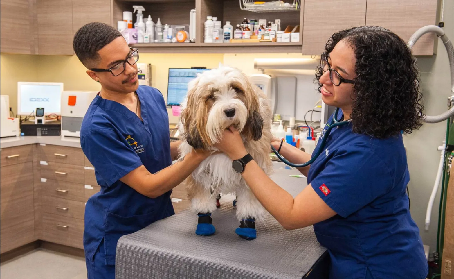 Battery Park Veterinary Hospital Staff examining a dog